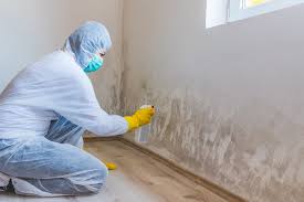 Reliable Cottonwood, AL Mold Prevention & Removal  Solutions