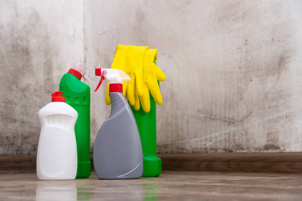 Mold Prevention & Removal